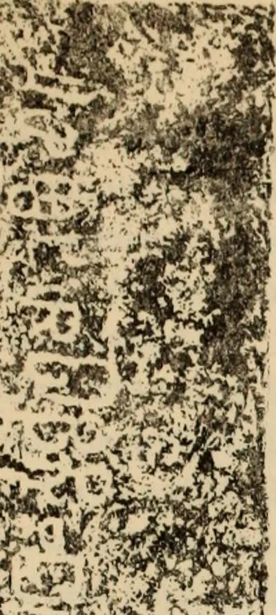 An illustration from Epigraphia carnatica. By B. Lewis Rice, Director of Archaeological Researches in Mysore, 1894, leaf 200