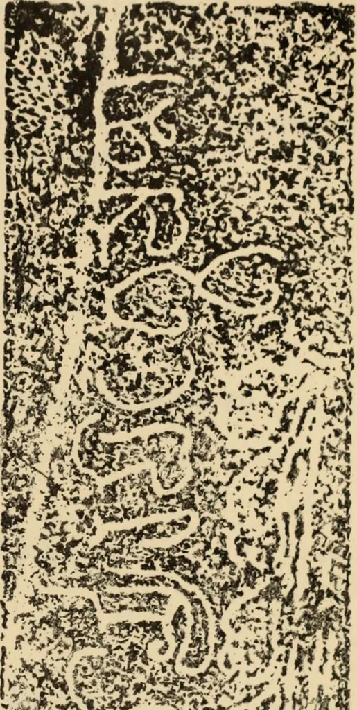 An illustration from Epigraphia carnatica. By B. Lewis Rice, Director of Archaeological Researches in Mysore, 1894, leaf 244