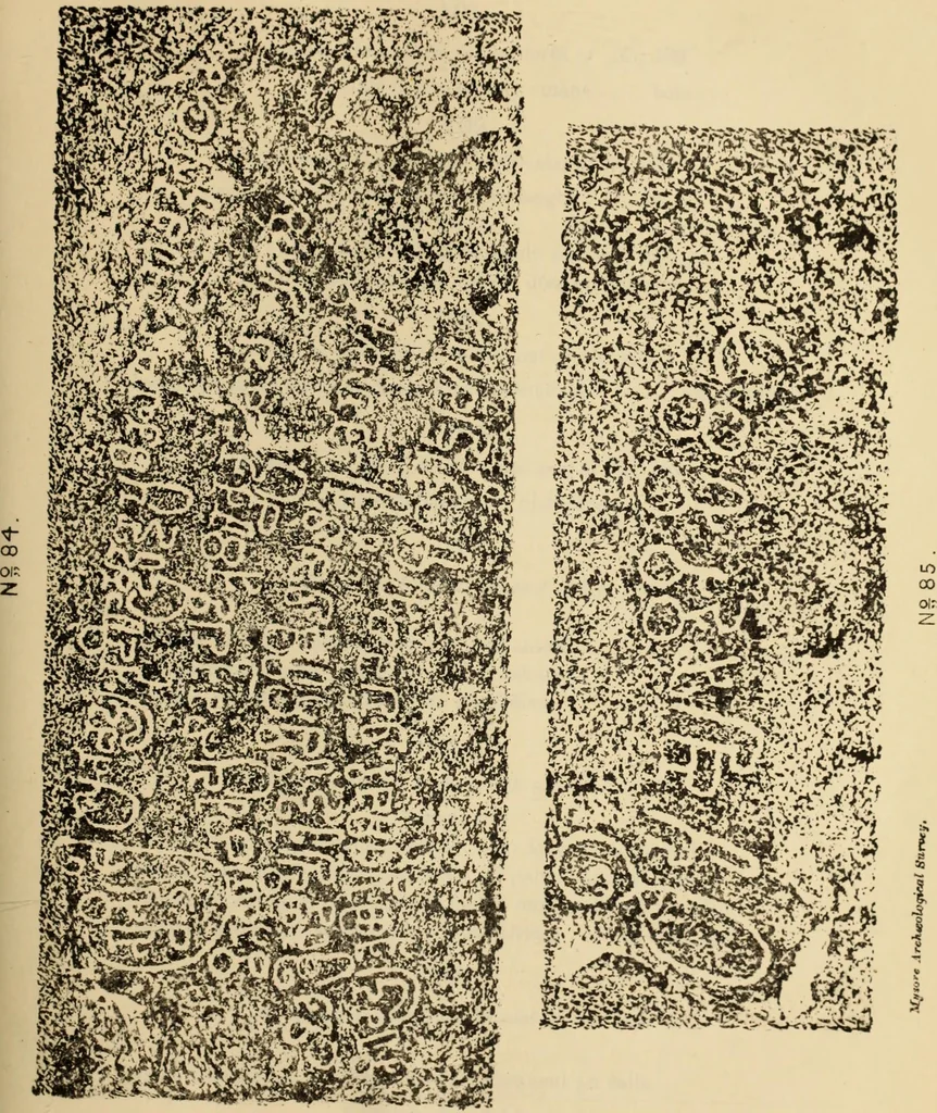 An illustration from Epigraphia carnatica. By B. Lewis Rice, Director of Archaeological Researches in Mysore, 1894, leaf 248