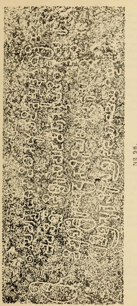 An illustration from Epigraphia carnatica. By B. Lewis Rice, Director of Archaeological Researches in Mysore, 1894, leaf 256