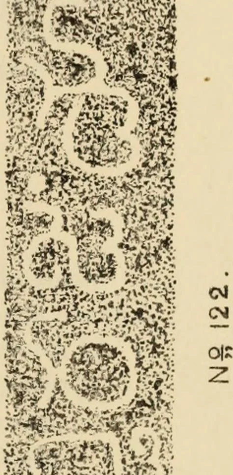 An illustration from Epigraphia carnatica. By B. Lewis Rice, Director of Archaeological Researches in Mysore, 1894, leaf 256