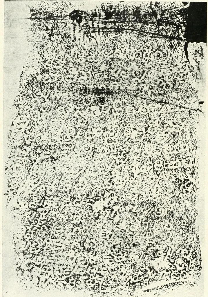 An illustration from Epigraphia carnatica. By B. Lewis Rice, Director of Archaeological Researches in Mysore, 1894, leaf 367
