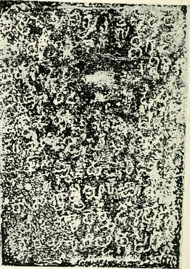 An illustration from Epigraphia carnatica. By B. Lewis Rice, Director of Archaeological Researches in Mysore, 1894, leaf 367