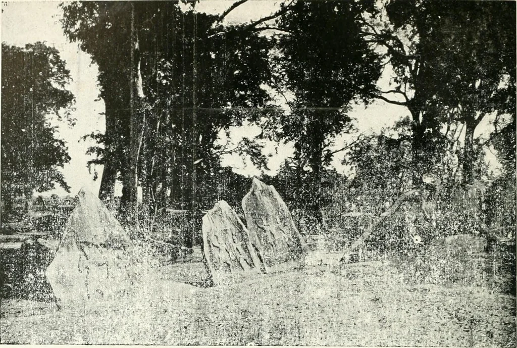 An illustration from Epigraphia carnatica. By B. Lewis Rice, Director of Archaeological Researches in Mysore, 1894, leaf 221