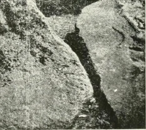 An illustration from Epigraphia carnatica. By B. Lewis Rice, Director of Archaeological Researches in Mysore, 1894, leaf 222