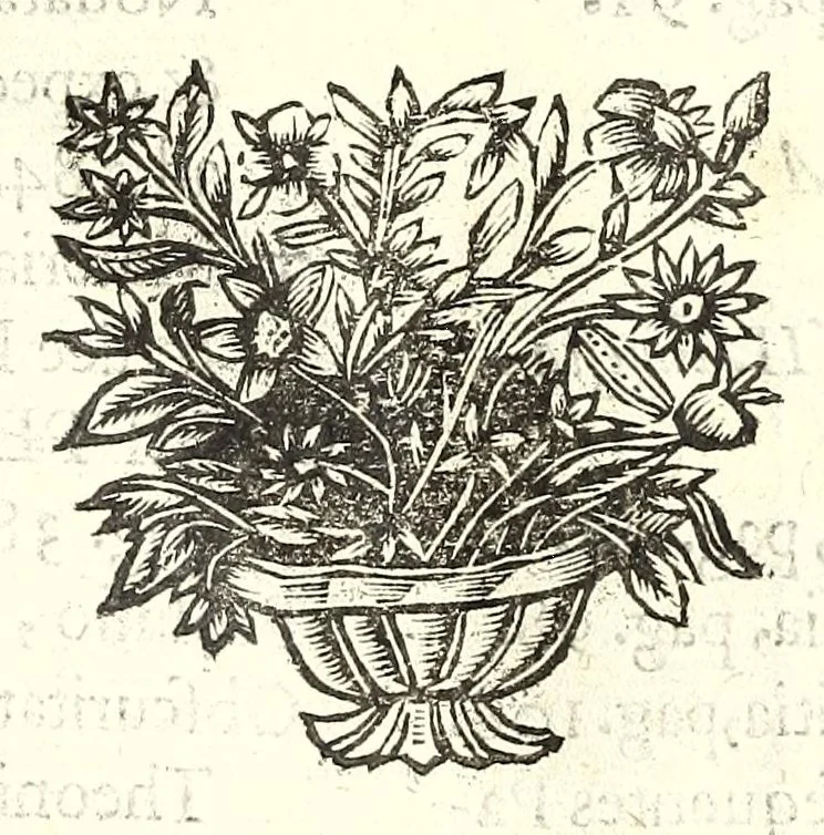 An illustration from Epigraphica, siue, Elogia inscriptionesque quoduis genus pangendi ratio : vbi de inscribendis tabulis, symbolis, clypeis, trophaeis, donarijs, obeliscis, aris, tumulis, musaeis, hortis, villis, fontibus, et si qua sunt alia huiusmodi monumenta, facili methodo dissertatur : subiectisque exemplis antiquis, ac recentibus : nonnullis etiam ex vtrisque nondum vilgatis praecepta dilucidantur, 1660, leaf 18