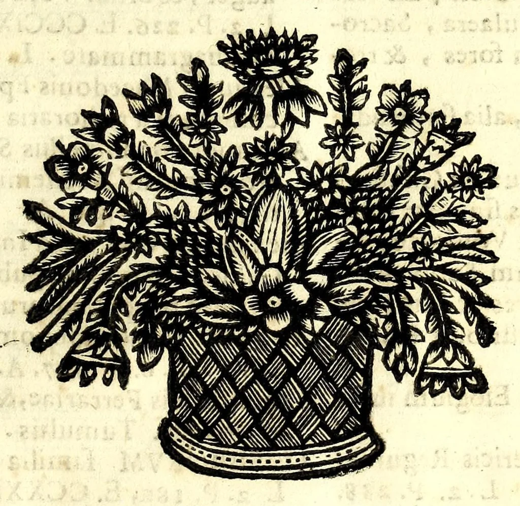 An illustration from Epigraphica, siue, Elogia inscriptionesque quoduis genus pangendi ratio : vbi de inscribendis tabulis, symbolis, clypeis, trophaeis, donarijs, obeliscis, aris, tumulis, musaeis, hortis, villis, fontibus, et si qua sunt alia huiusmodi monumenta, facili methodo dissertatur : subiectisque exemplis antiquis, ac recentibus : nonnullis etiam ex vtrisque nondum vilgatis praecepta dilucidantur, 1660, leaf 807