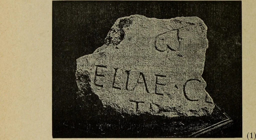 An illustration from Epigraphie romaine du Poitou & de la Saintonge, 1888, leaf 240