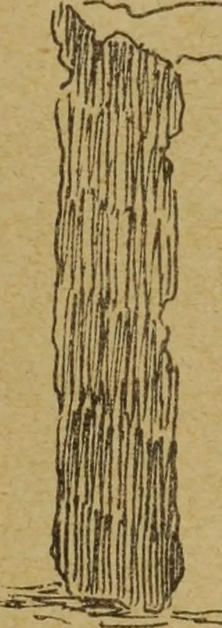 An illustration from Epigraphie romaine du Poitou & de la Saintonge, 1888, leaf 435