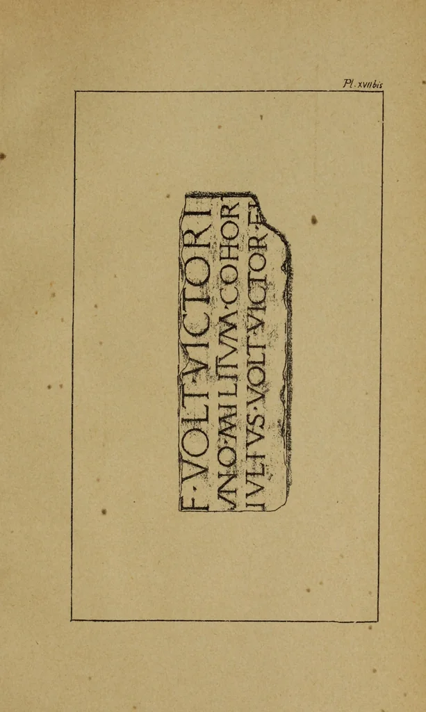An illustration from Epigraphie romaine du Poitou & de la Saintonge, 1888, leaf 469