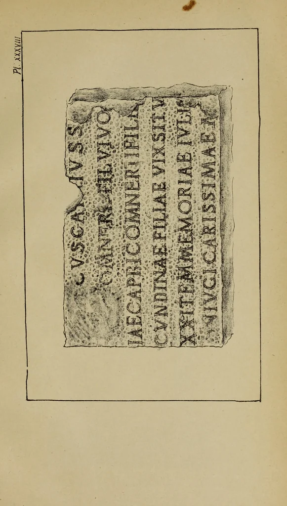 An illustration from Epigraphie romaine du Poitou & de la Saintonge, 1888, leaf 517