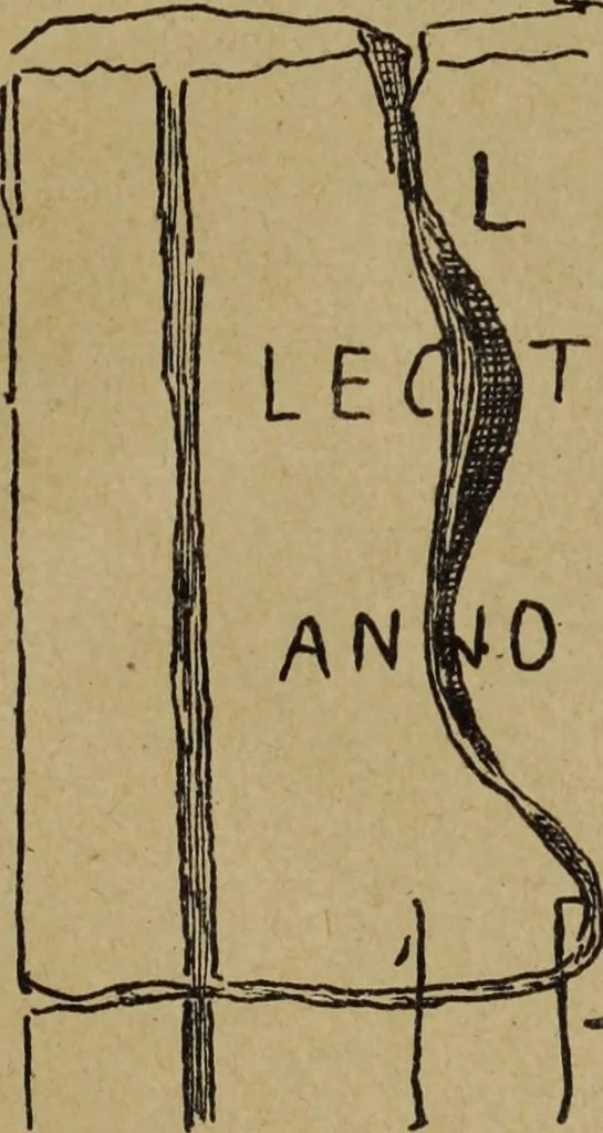 An illustration from Epigraphie romaine du Poitou & de la Saintonge, 1888, leaf 523