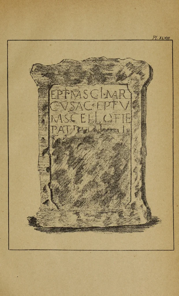 An illustration from Epigraphie romaine du Poitou & de la Saintonge, 1888, leaf 541