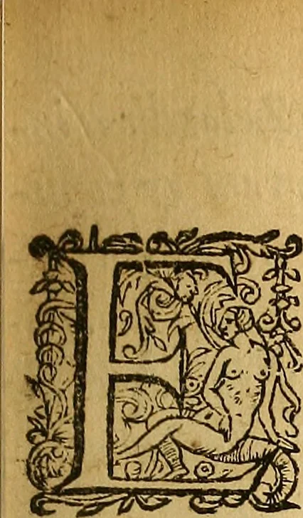 An illustration from Epistola ecclesiastarum, quos in Belgio remonstrantes vocant : ad exterarum ecclesiarum reformatos doctores, pastores, theologis, qua sententiam suam de praedestinatione & annexis ei capitibus exponunt, & enati aliquot ab hinc annis .., 1617, leaf 8