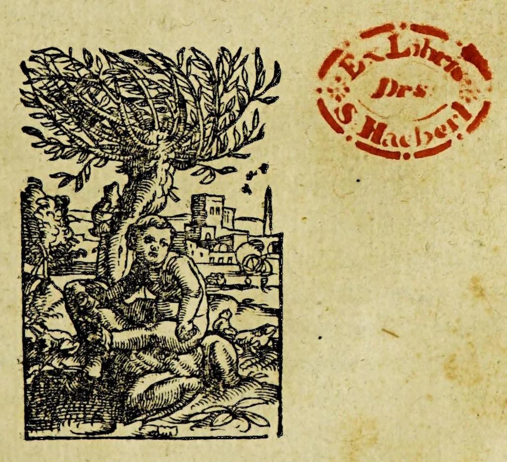 An illustration from Epistolarum medicinalium Conradi Gesneri, philosophi et medici Tigurini, libri III. : His accesserunt eiusdem Aconiti primi dioscoridis asseueratio & De oxymelitis elleborati utriusq[ue] descriptione & vsu libellus., 1577, leaf 5