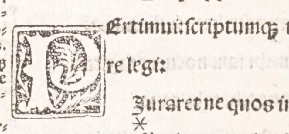An illustration from Epistole Heroides Publii Ouidii Nasonis : dilgenti castgatione exculte, aptissimisq[ue] figuris ornate, 1536, leaf 200