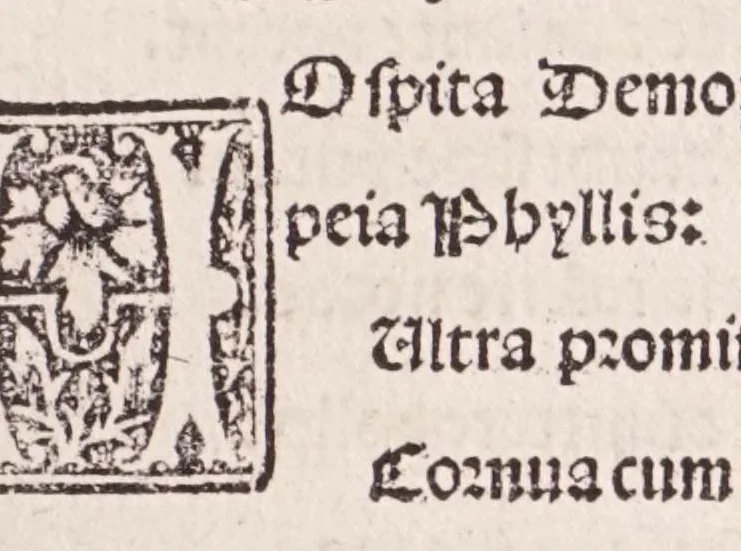 An illustration from Epistole Heroides Publii Ouidii Nasonis : dilgenti castgatione exculte, aptissimisq[ue] figuris ornate, 1536, leaf 27