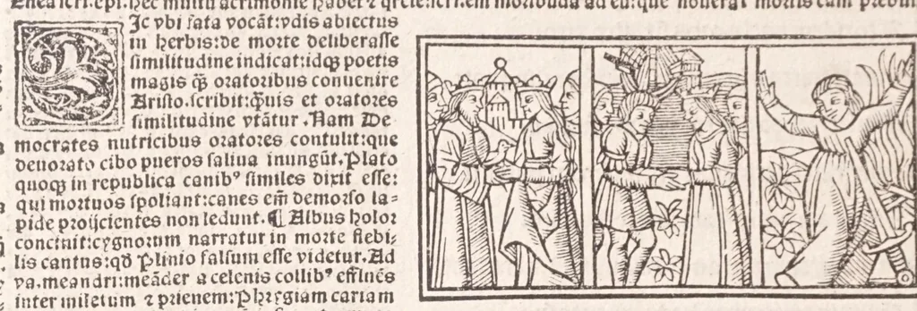 An illustration from Epistole Heroides Publii Ouidii Nasonis : dilgenti castgatione exculte, aptissimisq[ue] figuris ornate, 1536, leaf 78