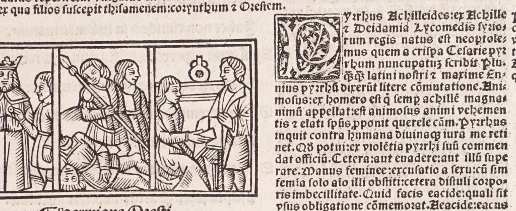 An illustration from Epistole Heroides Publii Ouidii Nasonis : dilgenti castgatione exculte, aptissimisq[ue] figuris ornate, 1536, leaf 89