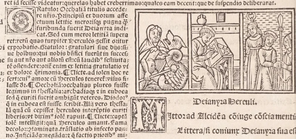 An illustration from Epistole Heroides Publii Ouidii Nasonis : dilgenti castgatione exculte, aptissimisq[ue] figuris ornate, 1536, leaf 96