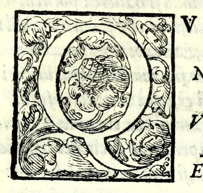 An illustration from Epitia : tragedia, 1583, leaf 95