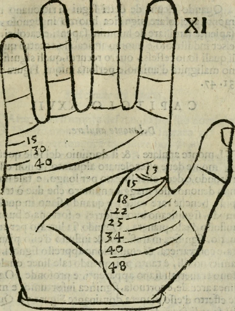 An illustration from Epitoma chyromantico di Patritio Tricasso da Cerasari Mantouano : nel quale si contiene tutte l'opere per esso Tricasso in questa scientia composte, con assai figure, & dichiarationi agiunte ; facilissimo ad imparare, & in breuissimo tempo, 1538, leaf 120