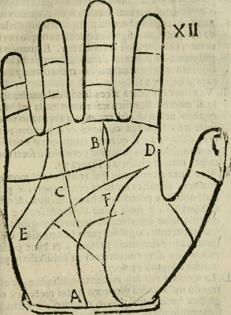 An illustration from Epitoma chyromantico di Patritio Tricasso da Cerasari Mantouano : nel quale si contiene tutte l'opere per esso Tricasso in questa scientia composte, con assai figure, & dichiarationi agiunte ; facilissimo ad imparare, & in breuissimo tempo, 1538, leaf 148