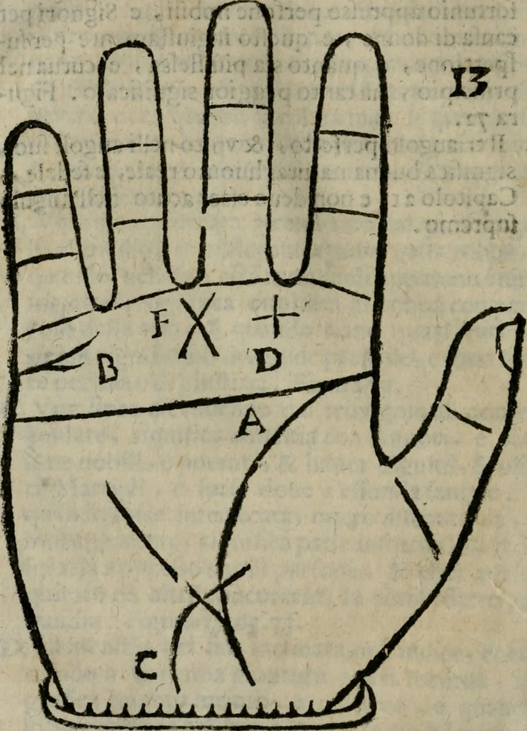An illustration from Epitoma chyromantico di Patritio Tricasso da Cerasari Mantouano : nel quale si contiene tutte l'opere per esso Tricasso in questa scientia composte, con assai figure, & dichiarationi agiunte ; facilissimo ad imparare, & in breuissimo tempo, 1538, leaf 151