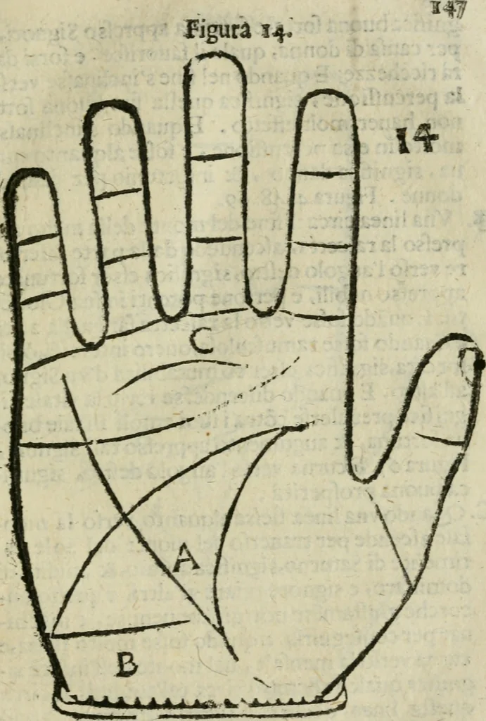 An illustration from Epitoma chyromantico di Patritio Tricasso da Cerasari Mantouano : nel quale si contiene tutte l'opere per esso Tricasso in questa scientia composte, con assai figure, & dichiarationi agiunte ; facilissimo ad imparare, & in breuissimo tempo, 1538, leaf 154