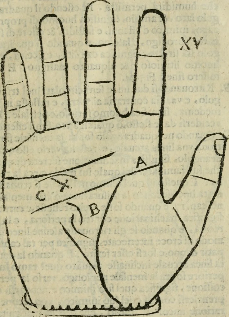An illustration from Epitoma chyromantico di Patritio Tricasso da Cerasari Mantouano : nel quale si contiene tutte l'opere per esso Tricasso in questa scientia composte, con assai figure, & dichiarationi agiunte ; facilissimo ad imparare, & in breuissimo tempo, 1538, leaf 156