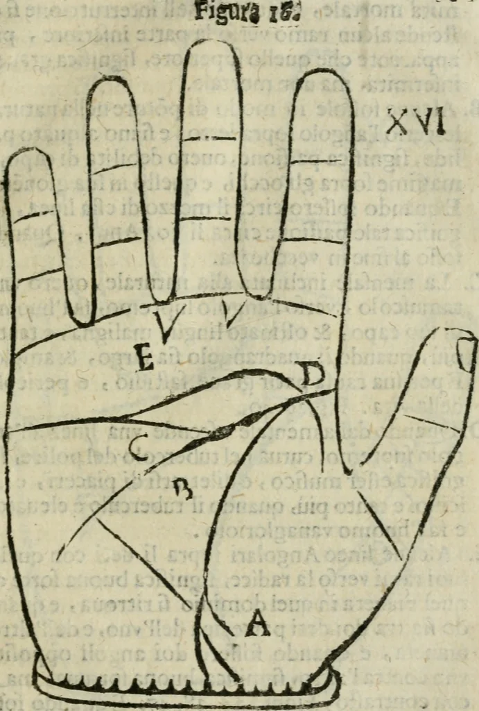 An illustration from Epitoma chyromantico di Patritio Tricasso da Cerasari Mantouano : nel quale si contiene tutte l'opere per esso Tricasso in questa scientia composte, con assai figure, & dichiarationi agiunte ; facilissimo ad imparare, & in breuissimo tempo, 1538, leaf 158