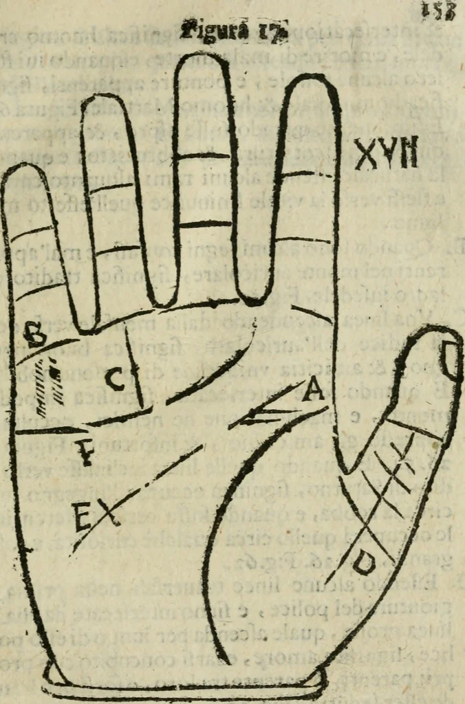 An illustration from Epitoma chyromantico di Patritio Tricasso da Cerasari Mantouano : nel quale si contiene tutte l'opere per esso Tricasso in questa scientia composte, con assai figure, & dichiarationi agiunte ; facilissimo ad imparare, & in breuissimo tempo, 1538, leaf 160
