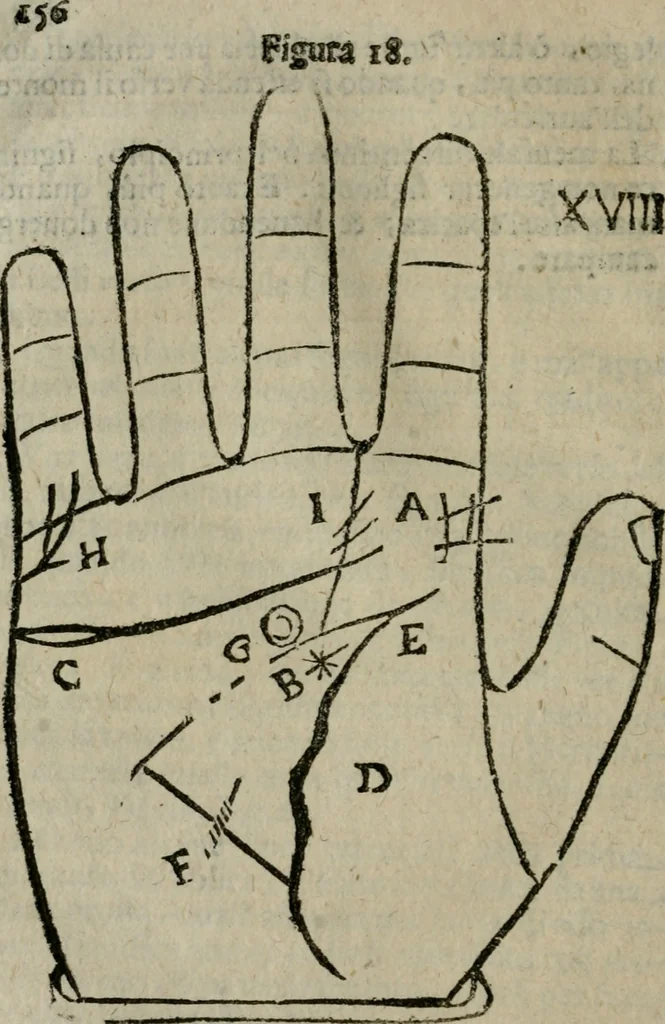 An illustration from Epitoma chyromantico di Patritio Tricasso da Cerasari Mantouano : nel quale si contiene tutte l'opere per esso Tricasso in questa scientia composte, con assai figure, & dichiarationi agiunte ; facilissimo ad imparare, & in breuissimo tempo, 1538, leaf 163