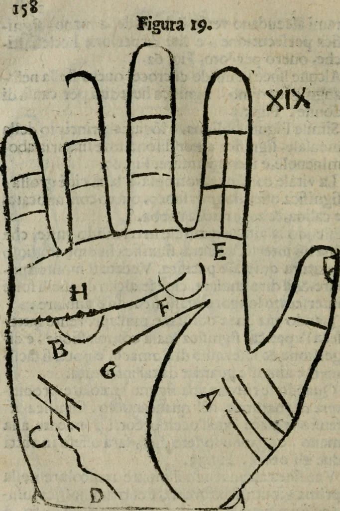 An illustration from Epitoma chyromantico di Patritio Tricasso da Cerasari Mantouano : nel quale si contiene tutte l'opere per esso Tricasso in questa scientia composte, con assai figure, & dichiarationi agiunte ; facilissimo ad imparare, & in breuissimo tempo, 1538, leaf 165