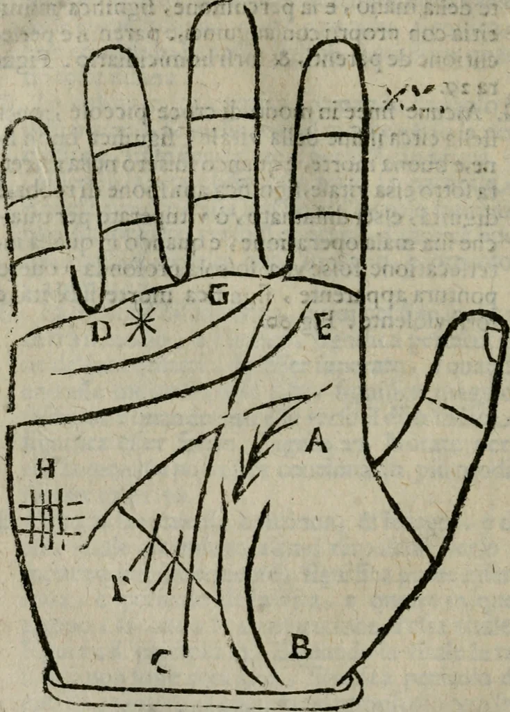 An illustration from Epitoma chyromantico di Patritio Tricasso da Cerasari Mantouano : nel quale si contiene tutte l'opere per esso Tricasso in questa scientia composte, con assai figure, & dichiarationi agiunte ; facilissimo ad imparare, & in breuissimo tempo, 1538, leaf 171