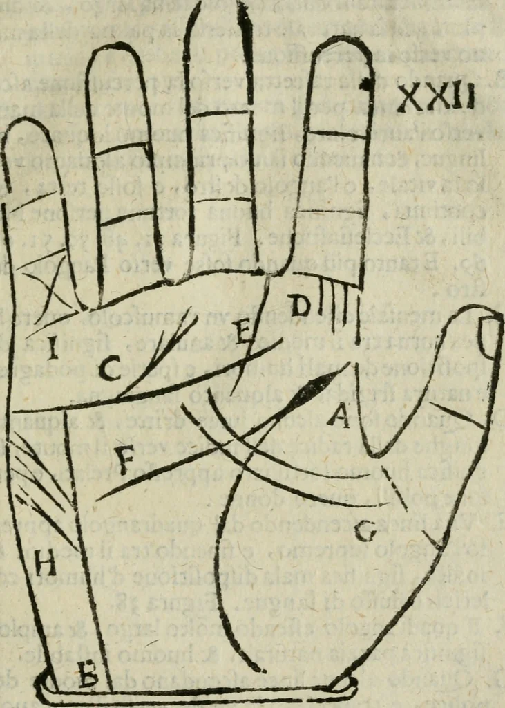 An illustration from Epitoma chyromantico di Patritio Tricasso da Cerasari Mantouano : nel quale si contiene tutte l'opere per esso Tricasso in questa scientia composte, con assai figure, & dichiarationi agiunte ; facilissimo ad imparare, & in breuissimo tempo, 1538, leaf 174