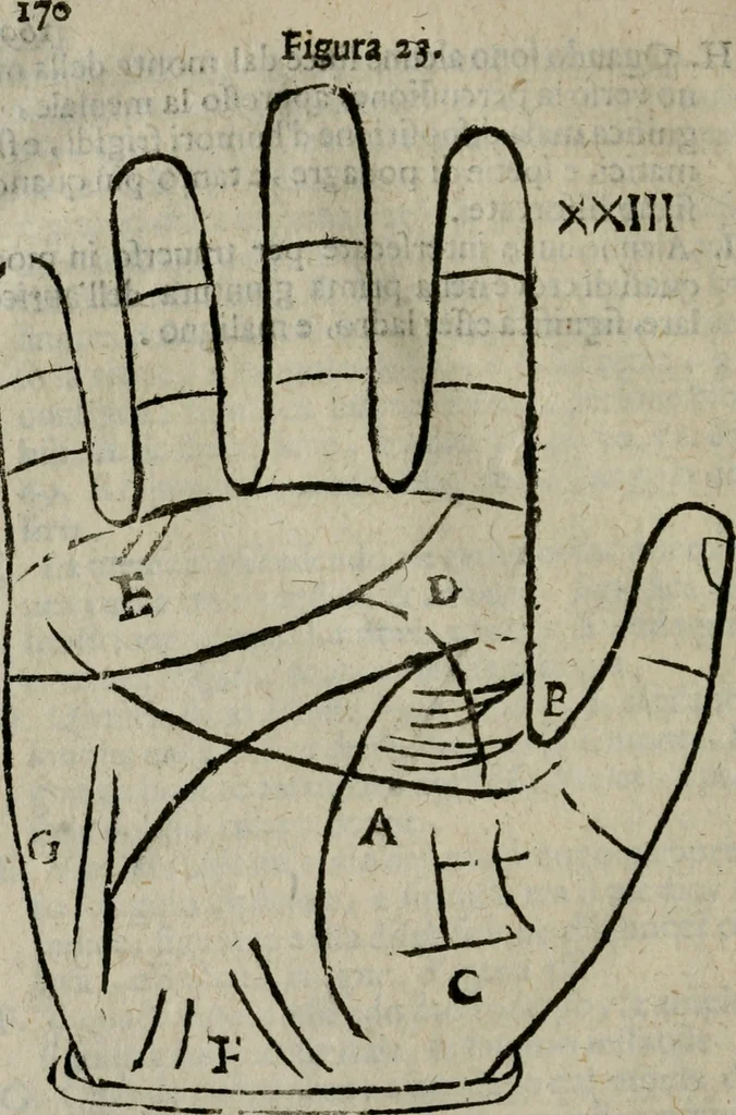An illustration from Epitoma chyromantico di Patritio Tricasso da Cerasari Mantouano : nel quale si contiene tutte l'opere per esso Tricasso in questa scientia composte, con assai figure, & dichiarationi agiunte ; facilissimo ad imparare, & in breuissimo tempo, 1538, leaf 177