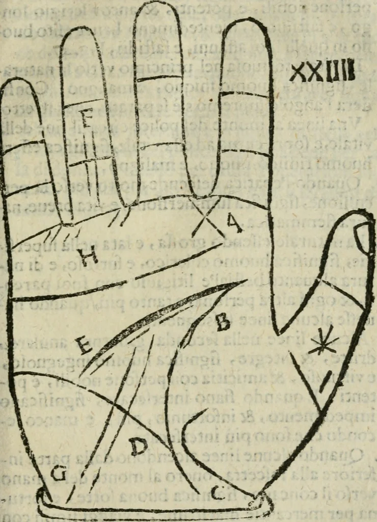 An illustration from Epitoma chyromantico di Patritio Tricasso da Cerasari Mantouano : nel quale si contiene tutte l'opere per esso Tricasso in questa scientia composte, con assai figure, & dichiarationi agiunte ; facilissimo ad imparare, & in breuissimo tempo, 1538, leaf 180