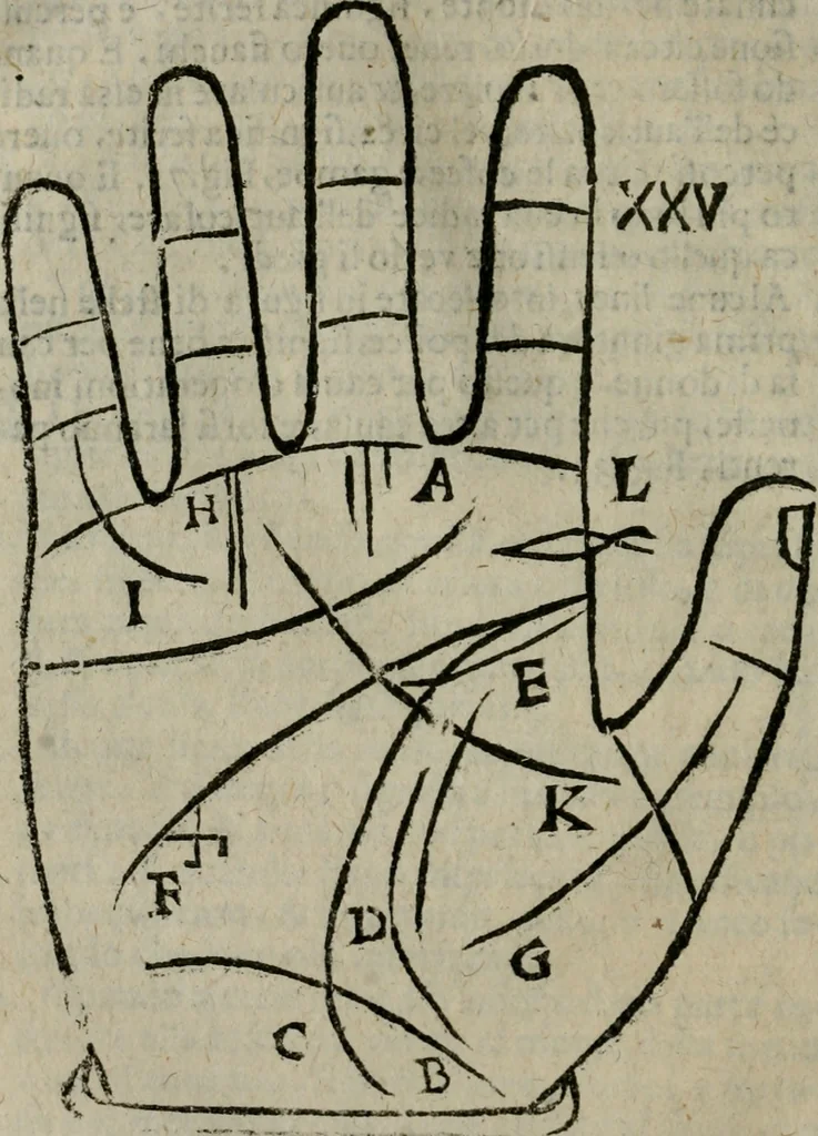 An illustration from Epitoma chyromantico di Patritio Tricasso da Cerasari Mantouano : nel quale si contiene tutte l'opere per esso Tricasso in questa scientia composte, con assai figure, & dichiarationi agiunte ; facilissimo ad imparare, & in breuissimo tempo, 1538, leaf 183