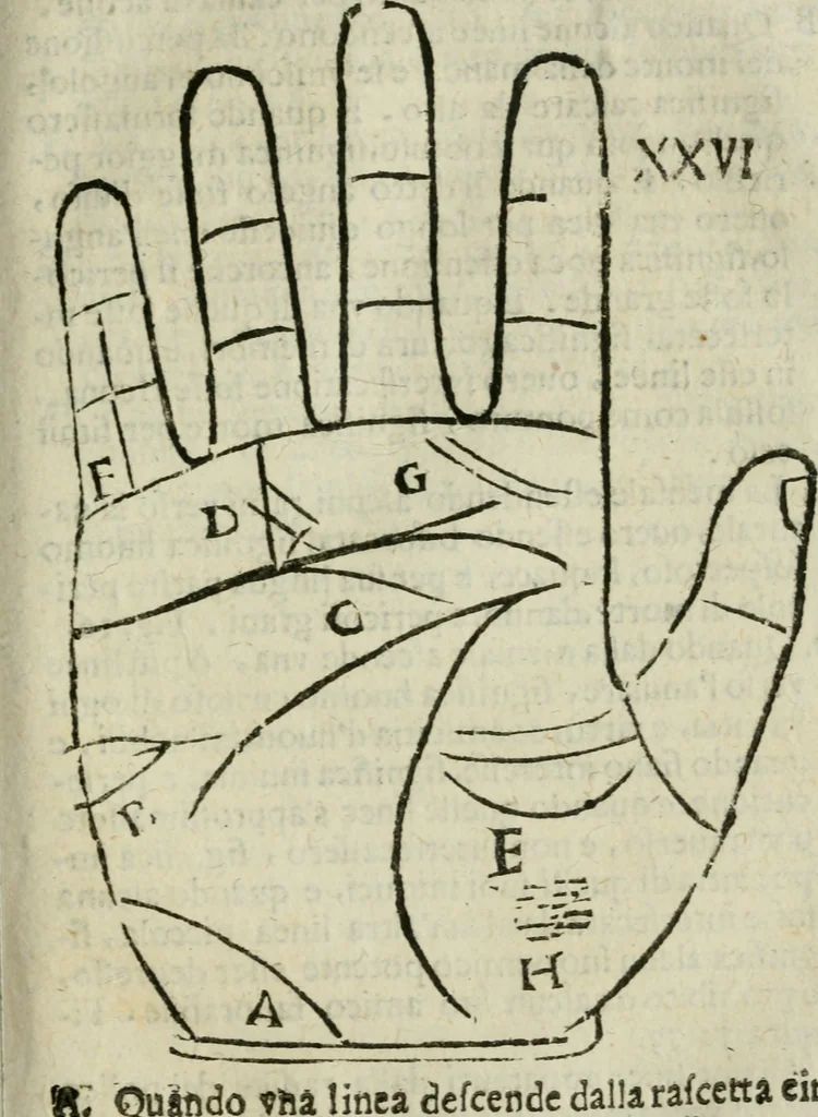 An illustration from Epitoma chyromantico di Patritio Tricasso da Cerasari Mantouano : nel quale si contiene tutte l'opere per esso Tricasso in questa scientia composte, con assai figure, & dichiarationi agiunte ; facilissimo ad imparare, & in breuissimo tempo, 1538, leaf 186