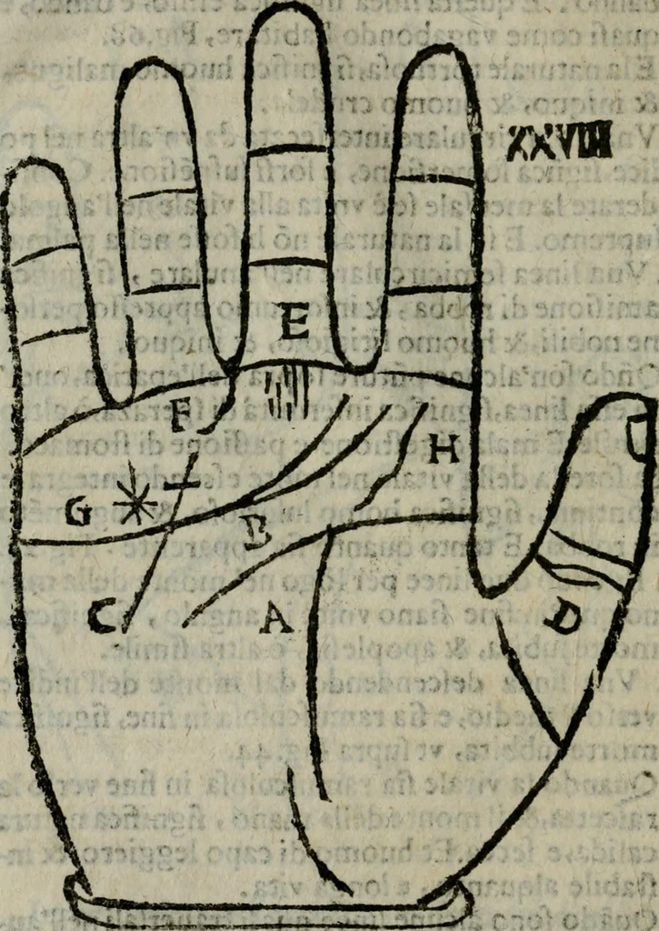 An illustration from Epitoma chyromantico di Patritio Tricasso da Cerasari Mantouano : nel quale si contiene tutte l'opere per esso Tricasso in questa scientia composte, con assai figure, & dichiarationi agiunte ; facilissimo ad imparare, & in breuissimo tempo, 1538, leaf 191