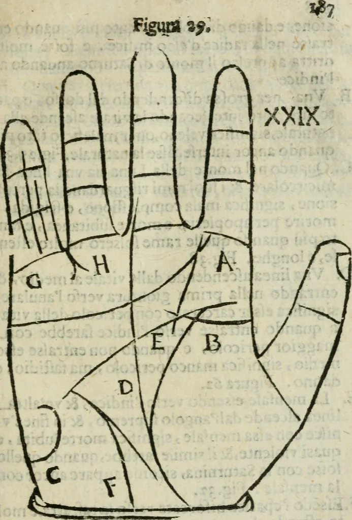 An illustration from Epitoma chyromantico di Patritio Tricasso da Cerasari Mantouano : nel quale si contiene tutte l'opere per esso Tricasso in questa scientia composte, con assai figure, & dichiarationi agiunte ; facilissimo ad imparare, & in breuissimo tempo, 1538, leaf 194