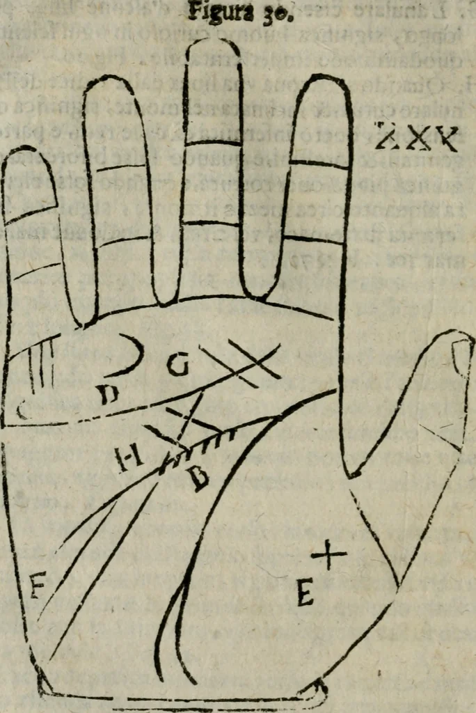 An illustration from Epitoma chyromantico di Patritio Tricasso da Cerasari Mantouano : nel quale si contiene tutte l'opere per esso Tricasso in questa scientia composte, con assai figure, & dichiarationi agiunte ; facilissimo ad imparare, & in breuissimo tempo, 1538, leaf 197