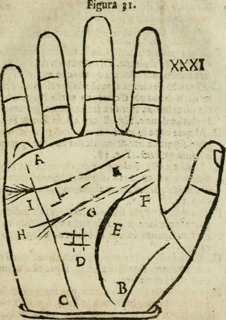 An illustration from Epitoma chyromantico di Patritio Tricasso da Cerasari Mantouano : nel quale si contiene tutte l'opere per esso Tricasso in questa scientia composte, con assai figure, & dichiarationi agiunte ; facilissimo ad imparare, & in breuissimo tempo, 1538, leaf 200