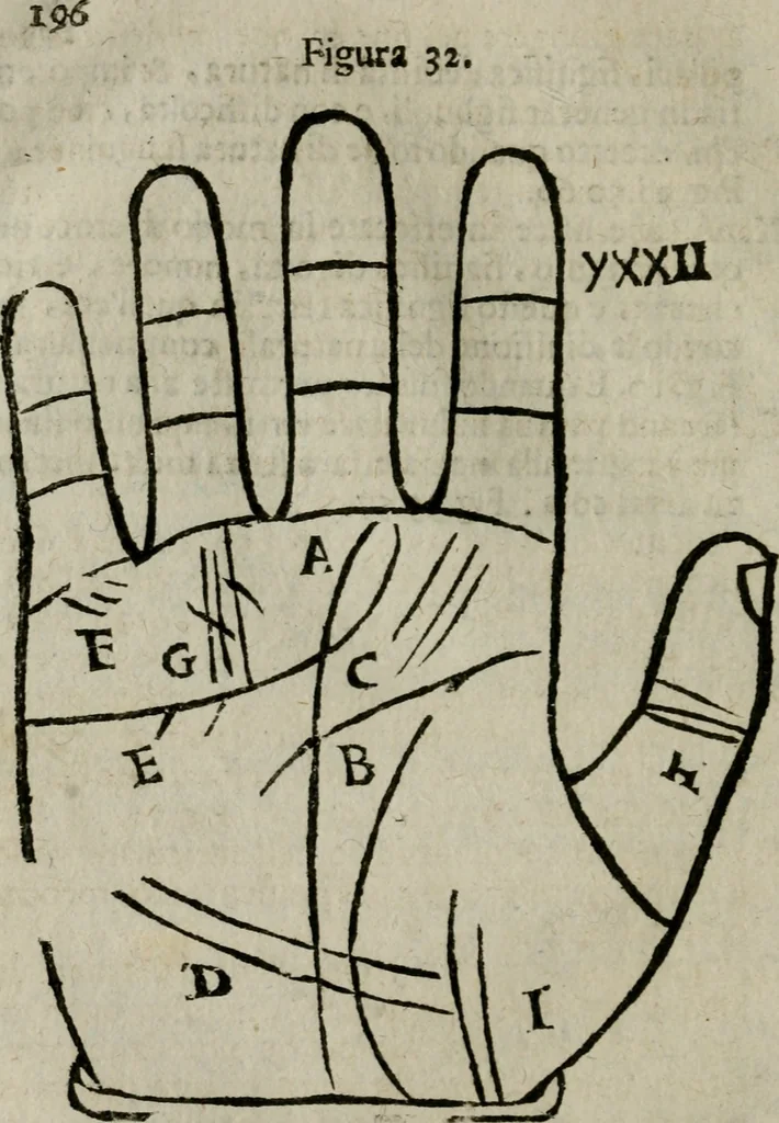 An illustration from Epitoma chyromantico di Patritio Tricasso da Cerasari Mantouano : nel quale si contiene tutte l'opere per esso Tricasso in questa scientia composte, con assai figure, & dichiarationi agiunte ; facilissimo ad imparare, & in breuissimo tempo, 1538, leaf 203