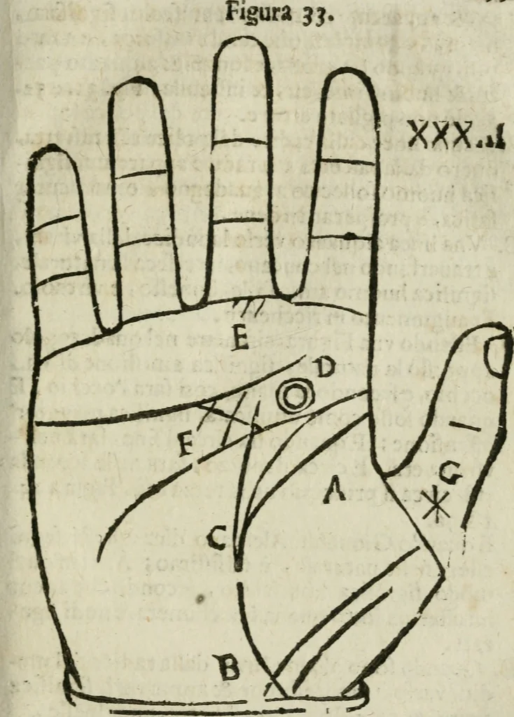 An illustration from Epitoma chyromantico di Patritio Tricasso da Cerasari Mantouano : nel quale si contiene tutte l'opere per esso Tricasso in questa scientia composte, con assai figure, & dichiarationi agiunte ; facilissimo ad imparare, & in breuissimo tempo, 1538, leaf 206