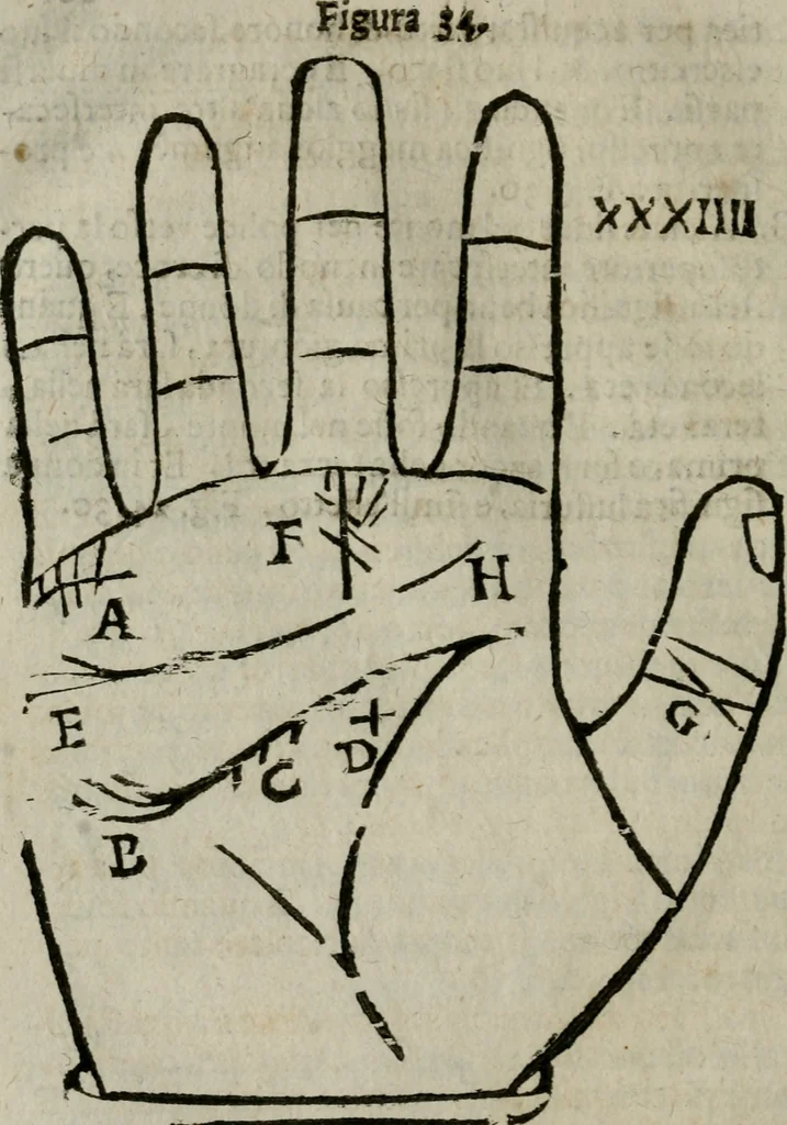 An illustration from Epitoma chyromantico di Patritio Tricasso da Cerasari Mantouano : nel quale si contiene tutte l'opere per esso Tricasso in questa scientia composte, con assai figure, & dichiarationi agiunte ; facilissimo ad imparare, & in breuissimo tempo, 1538, leaf 209