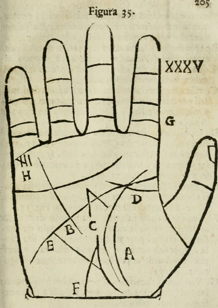 An illustration from Epitoma chyromantico di Patritio Tricasso da Cerasari Mantouano : nel quale si contiene tutte l'opere per esso Tricasso in questa scientia composte, con assai figure, & dichiarationi agiunte ; facilissimo ad imparare, & in breuissimo tempo, 1538, leaf 212