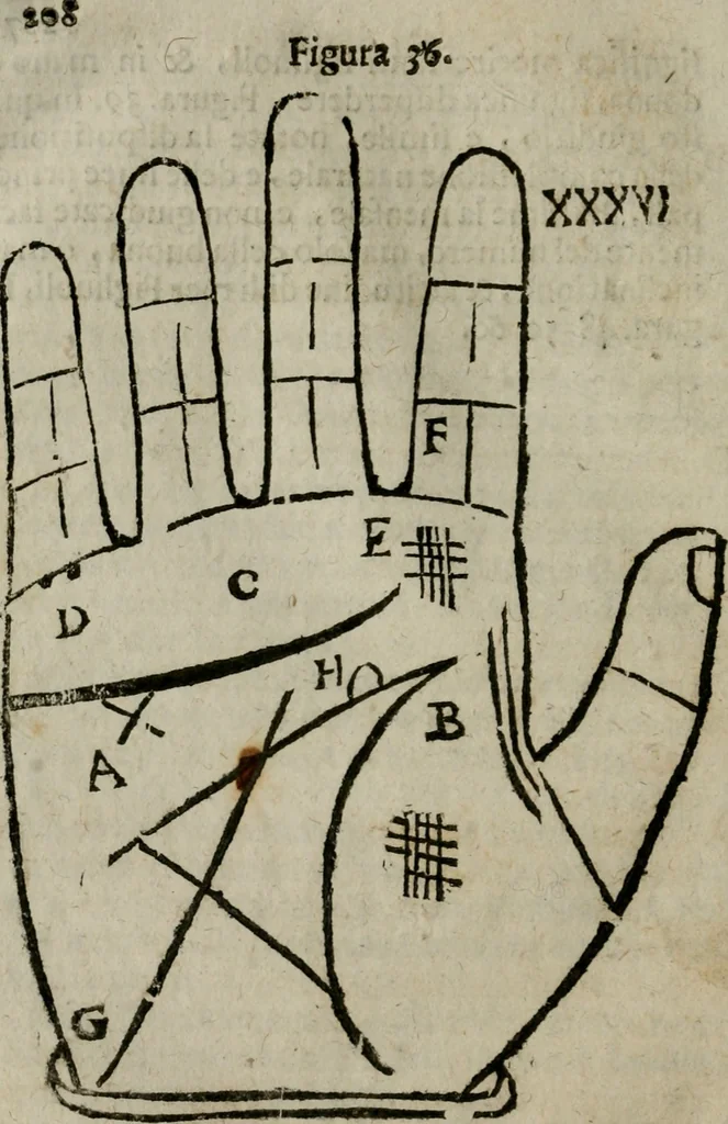 An illustration from Epitoma chyromantico di Patritio Tricasso da Cerasari Mantouano : nel quale si contiene tutte l'opere per esso Tricasso in questa scientia composte, con assai figure, & dichiarationi agiunte ; facilissimo ad imparare, & in breuissimo tempo, 1538, leaf 215
