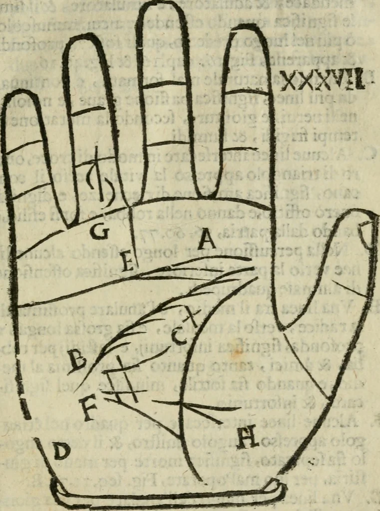 An illustration from Epitoma chyromantico di Patritio Tricasso da Cerasari Mantouano : nel quale si contiene tutte l'opere per esso Tricasso in questa scientia composte, con assai figure, & dichiarationi agiunte ; facilissimo ad imparare, & in breuissimo tempo, 1538, leaf 218